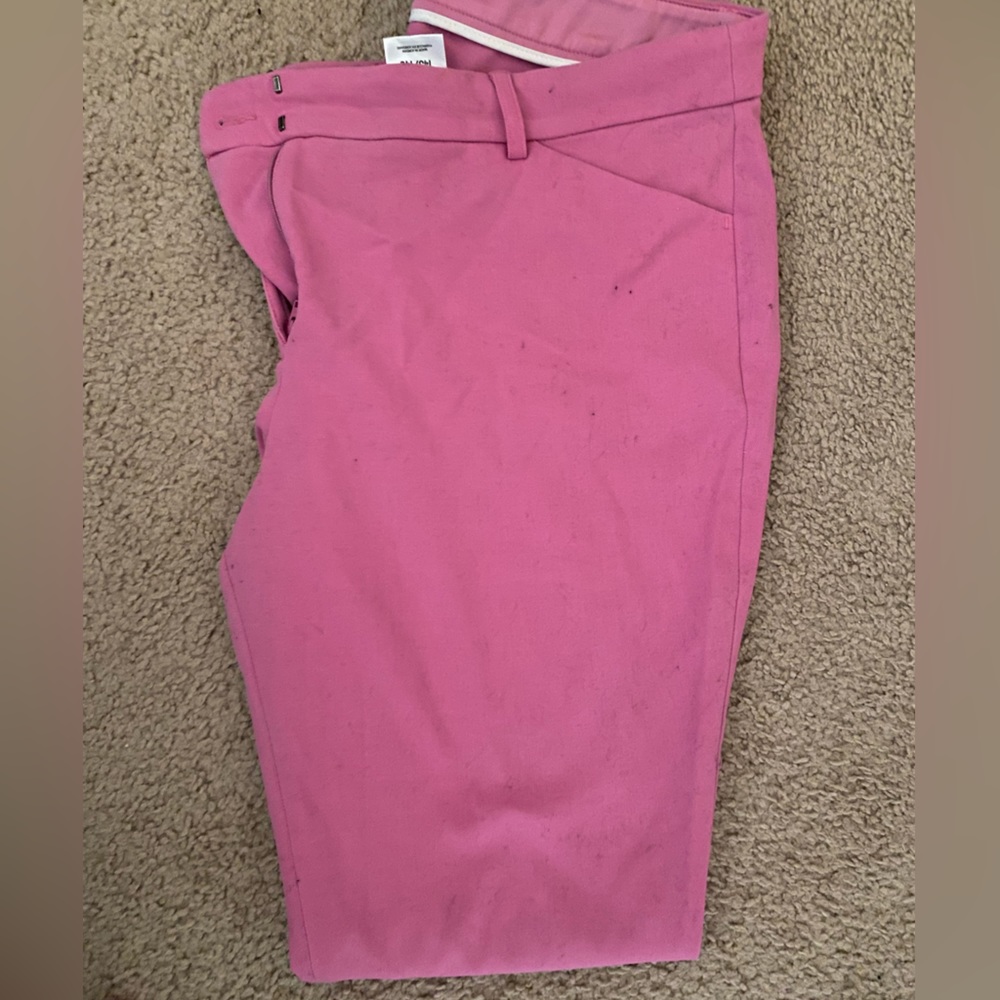EXPRESS Skinny Pant